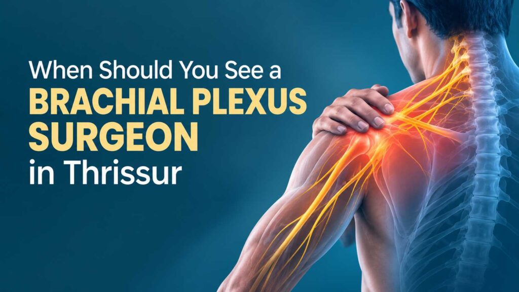 Medical illustration showing brachial plexus nerves in the shoulder and neck with the title When Should You See a Brachial Plexus Surgeon in Thrissur.