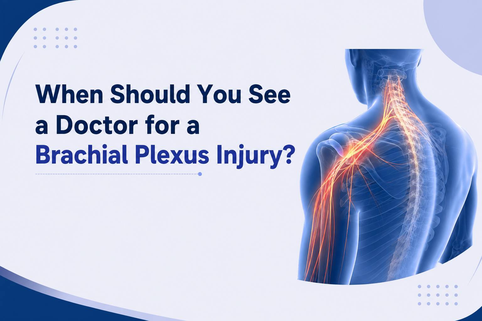 When Should You See a Doctor for a Brachial Plexus Injury – medical illustration showing brachial plexus nerves and affected arm