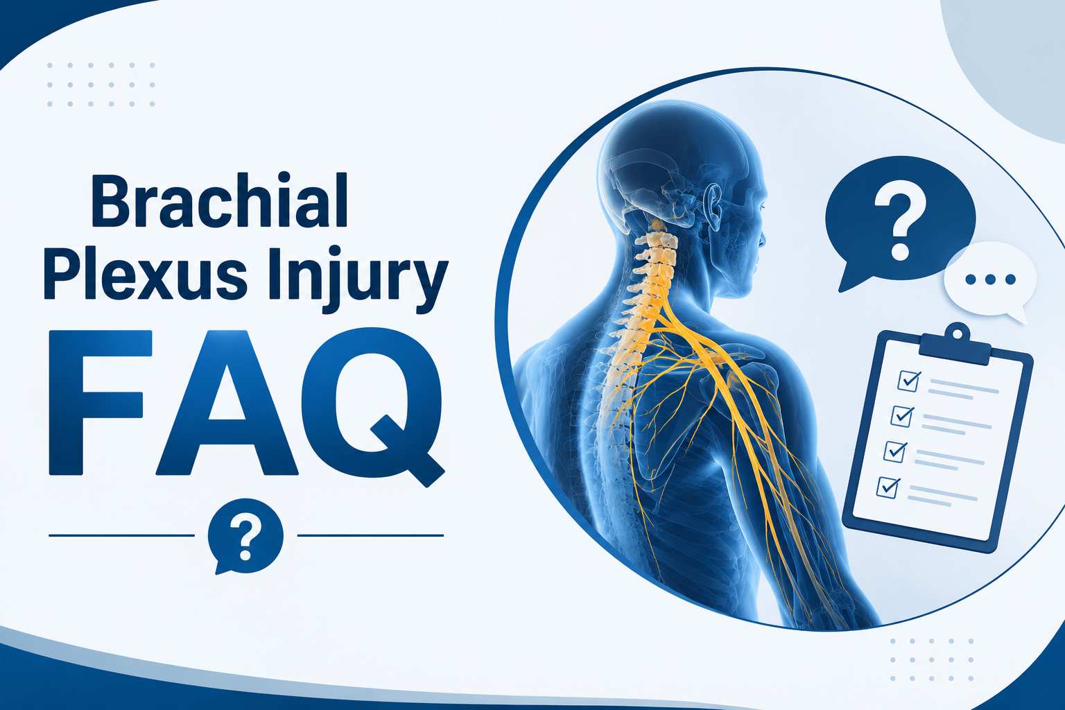 Brachial plexus injury Frequently Asked Questions showing the brachial plexus nerves and common patient questions