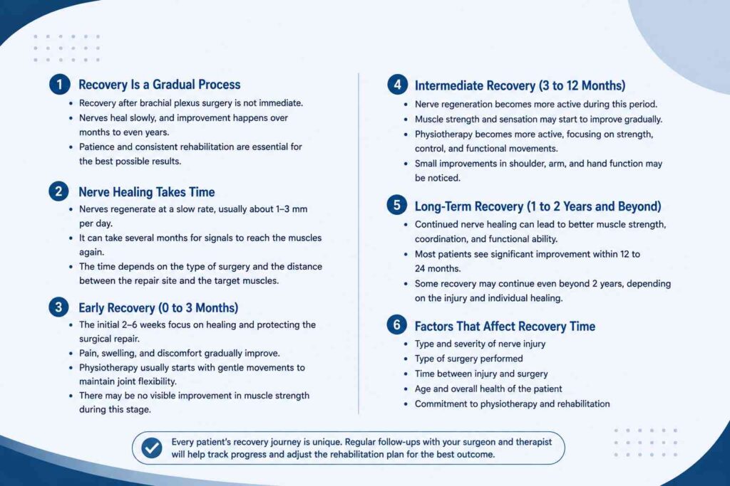 Recovery timeline after brachial plexus surgery showing early, intermediate, and long-term recovery stages