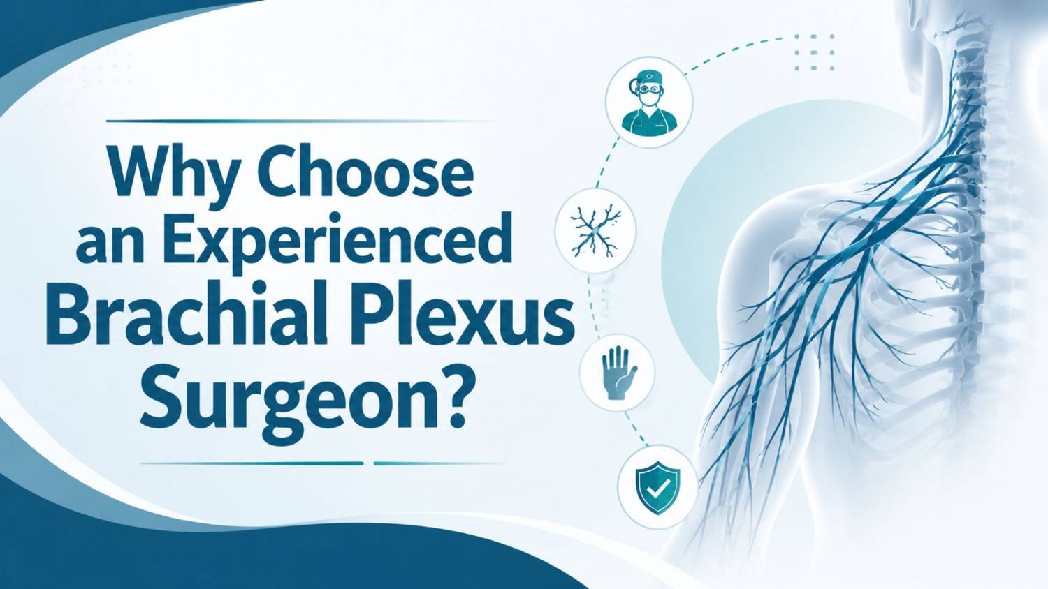 Why choose an experienced brachial plexus surgeon? Brachial plexus nerves and specialized surgical care