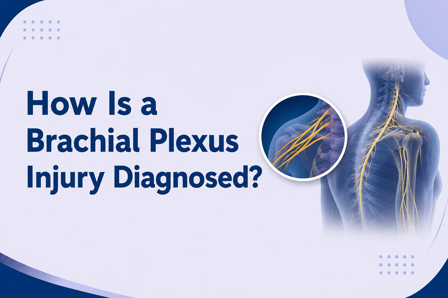 How is brachial plexus injury diagnosed showing the brachial plexus nerves