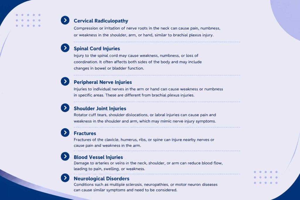 Conditions that need to be ruled out when diagnosing a brachial plexus injury